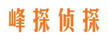 武清市私家侦探